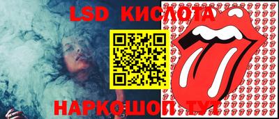 твердый Камышлов