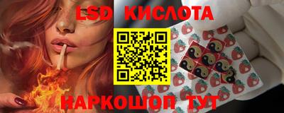 твердый Камышлов