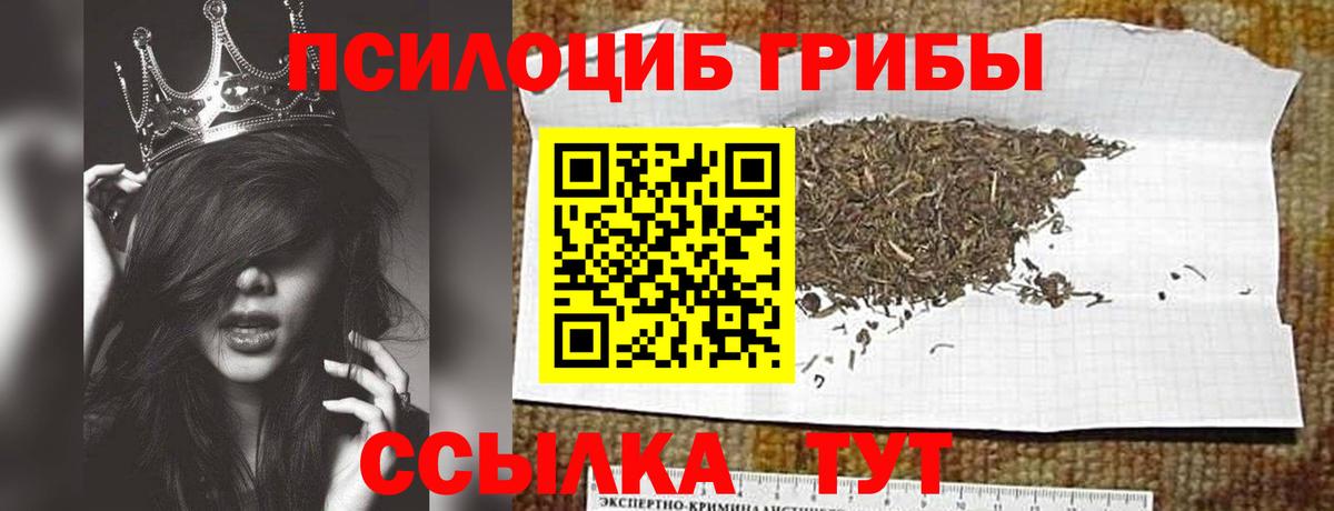 Псилоцибиновые грибы Magic Shrooms  Псилоцибиновые грибы GOLDEN TEACHER  купить   Клин  Вход с VPN 